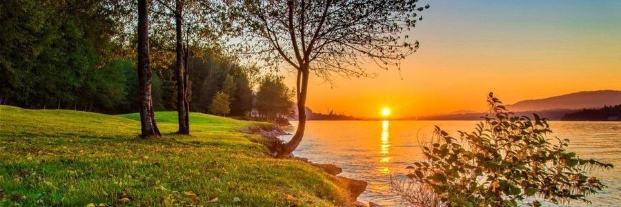 alshamsi822's profile banner image