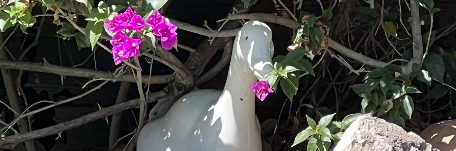 Sadlittleorange banner