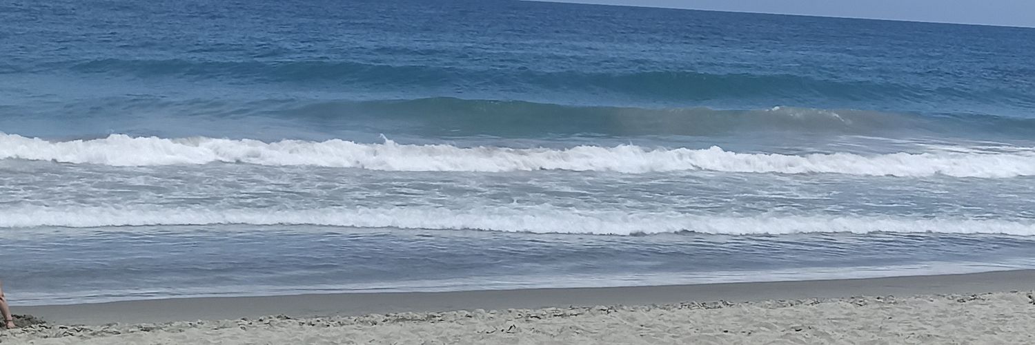 Rosaemr's profile banner image