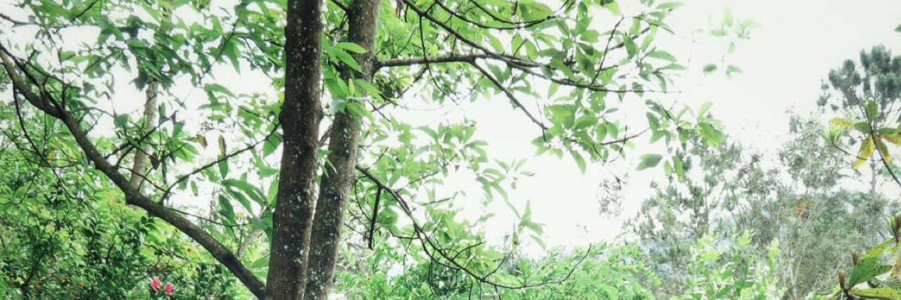 Desoddc's profile banner image