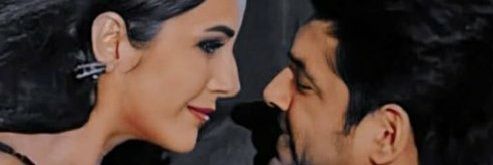 SidNaaz Forever😍🥰 banner