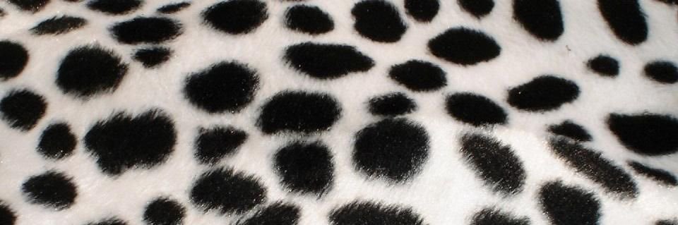 csdpunkk's profile banner image