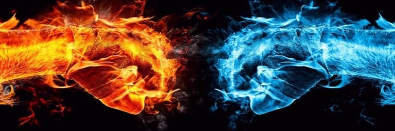 DUNKAN Opera.Nie bo Nie.🌐🇵🇱🇵🇱🐺 banner