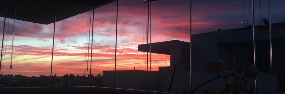 Liceecampos's profile banner image