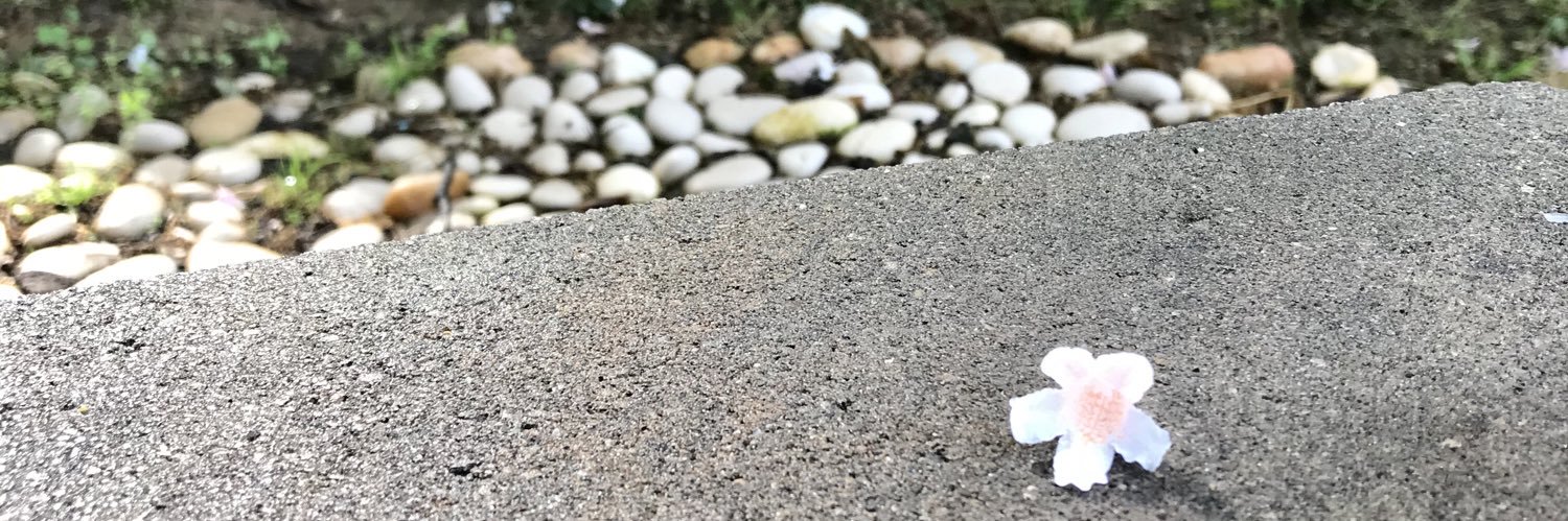 DenisLiz banner