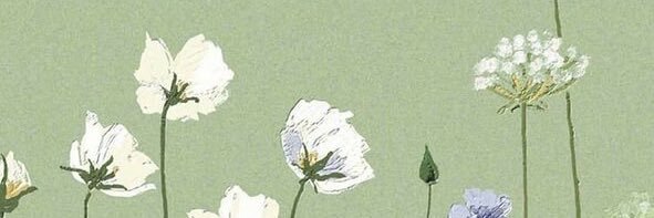 HeyDume's profile banner image