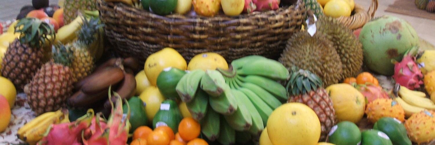 fruit_park's profile banner image