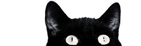 Snkt1269's profile banner image