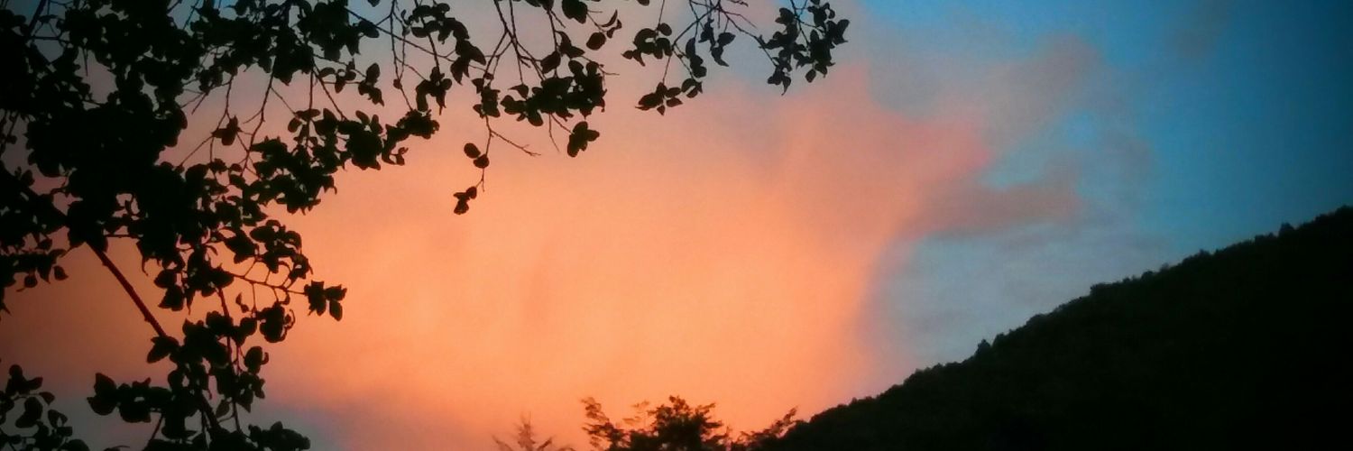 pollini__'s profile banner image