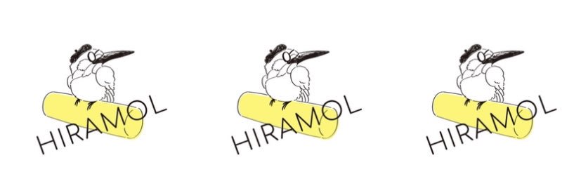 ケン@枚方モルックの会 banner