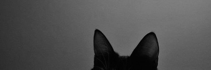 vinaccoustic's profile banner image