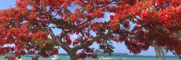 FutureTSX Profile Banner