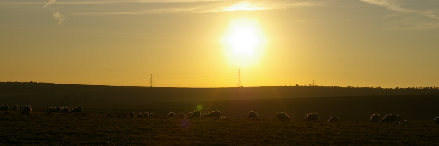 ralph_rye's profile banner image