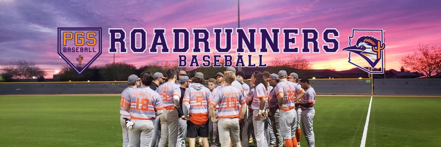 Post Grad Sports Baseball banner