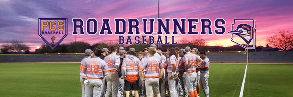 PGS_Baseball Profile Banner