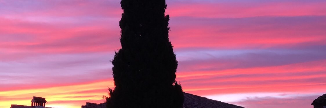 Alejandra!🤍 banner