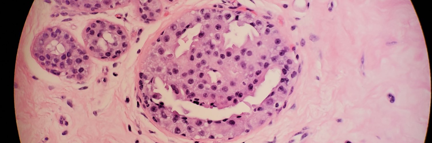 David Afework, MD banner