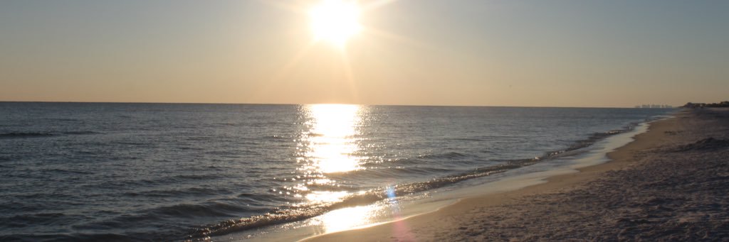 Jillian Deaver banner