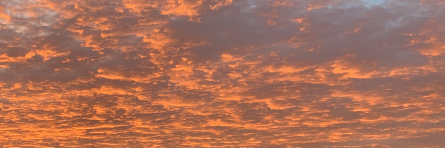 4fernnz's profile banner image