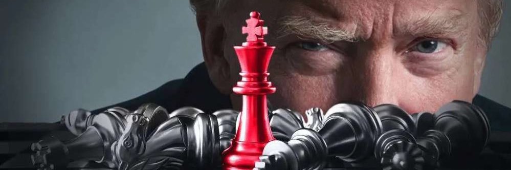 bernie johnson banner