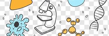 k_simpa's profile banner image