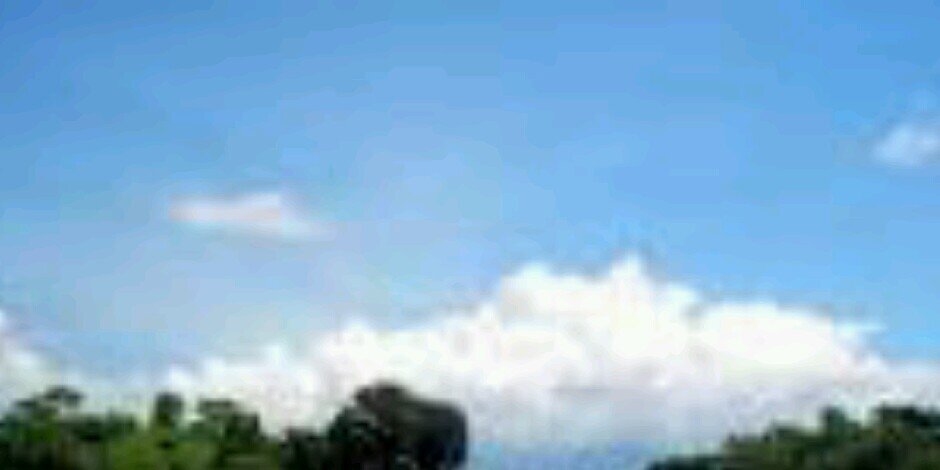 dadozrock's profile banner image