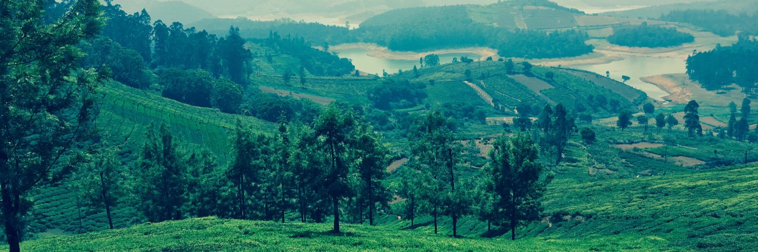 mayur822's profile banner image