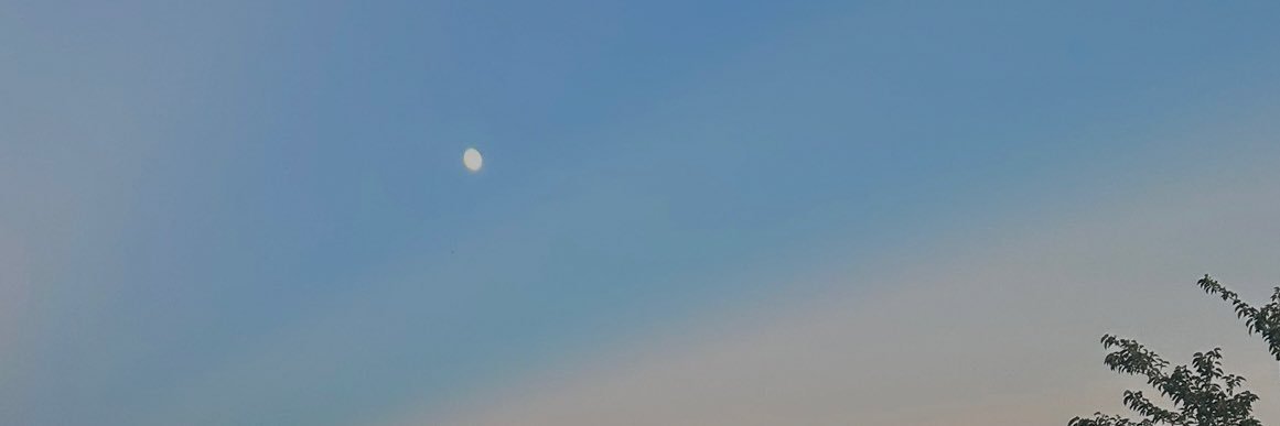 luisa_chagar's profile banner image