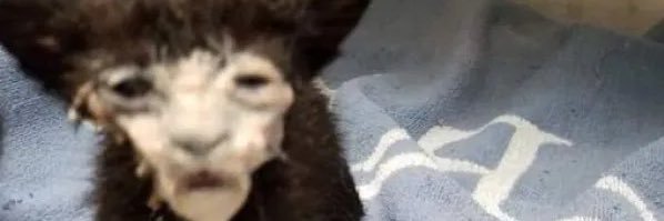 Andyman73117510's profile banner image