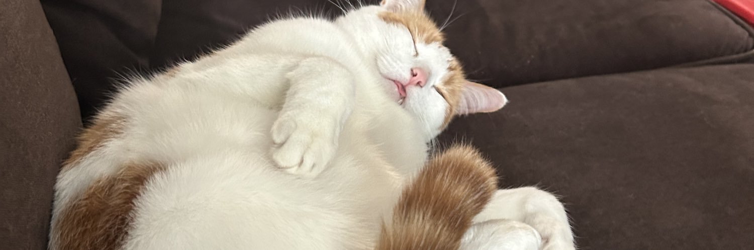 Dravus Gaming banner