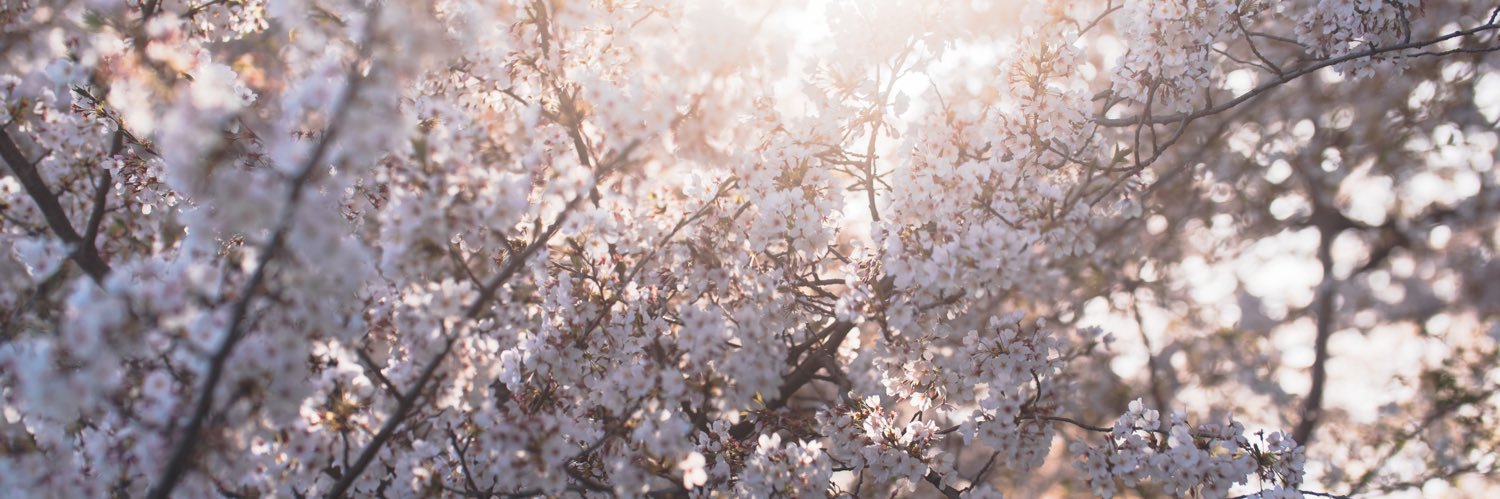 綾乃 banner