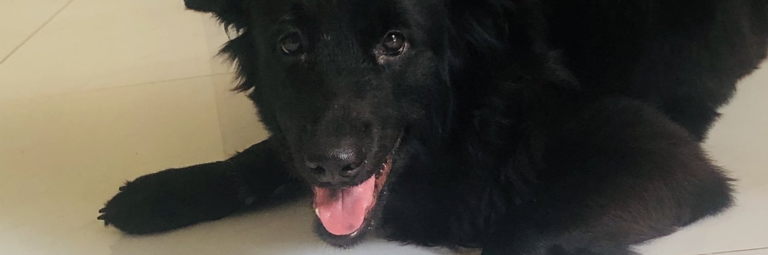ColeenmaeD_'s profile banner image