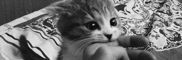 nomnomcookieez Profile Banner