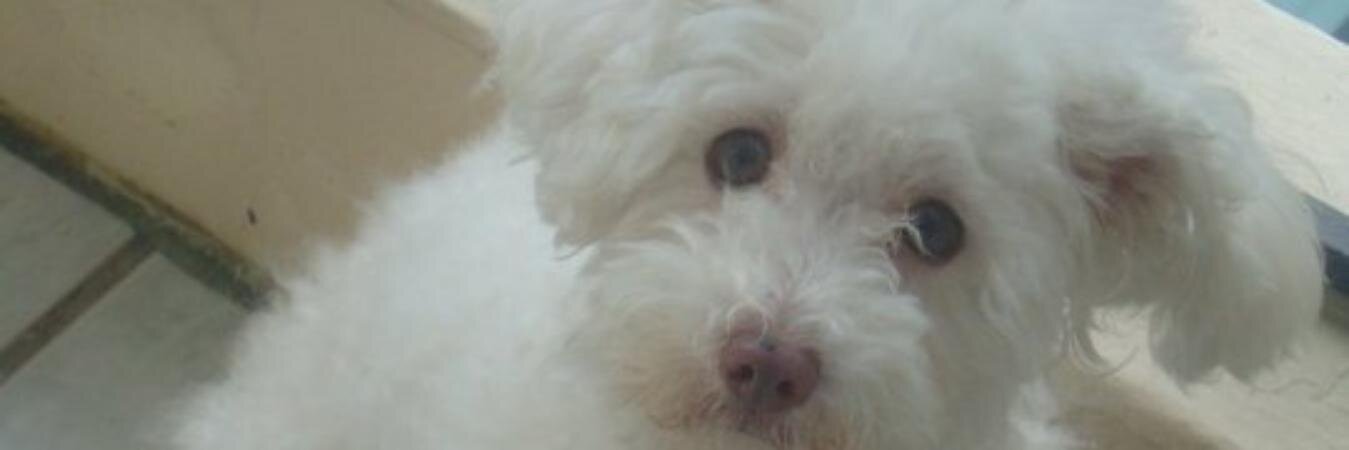 RuloValRo's profile banner image