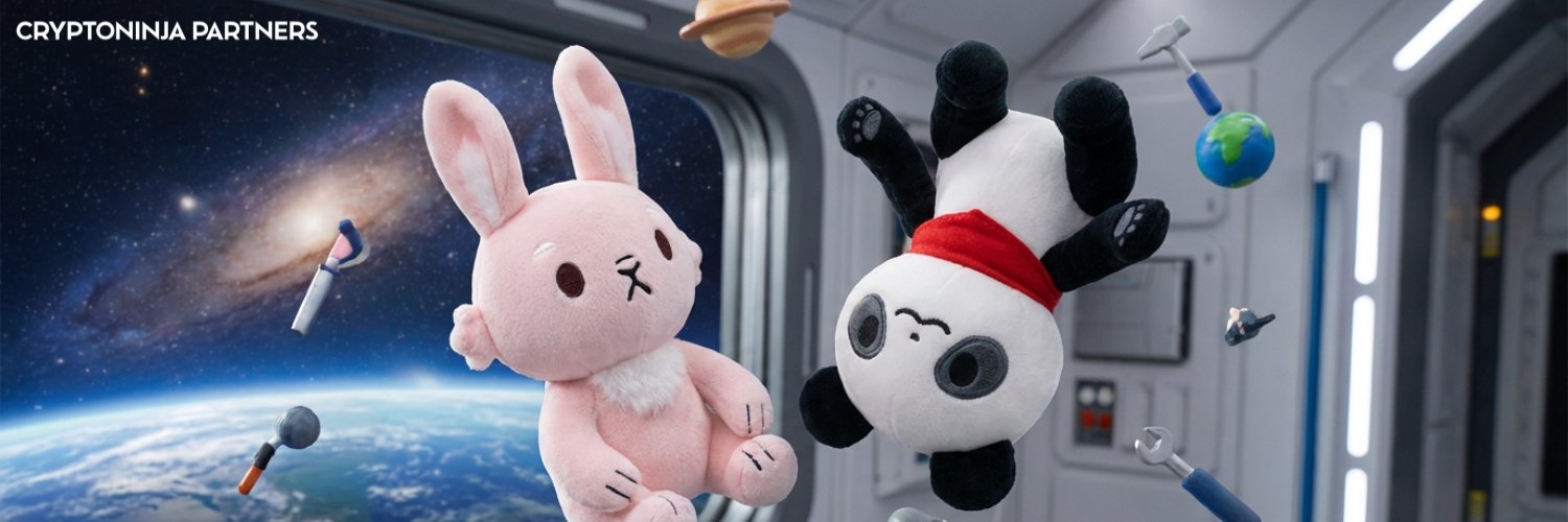 Box🐻‍❄️CNP/デジタル城下町 banner