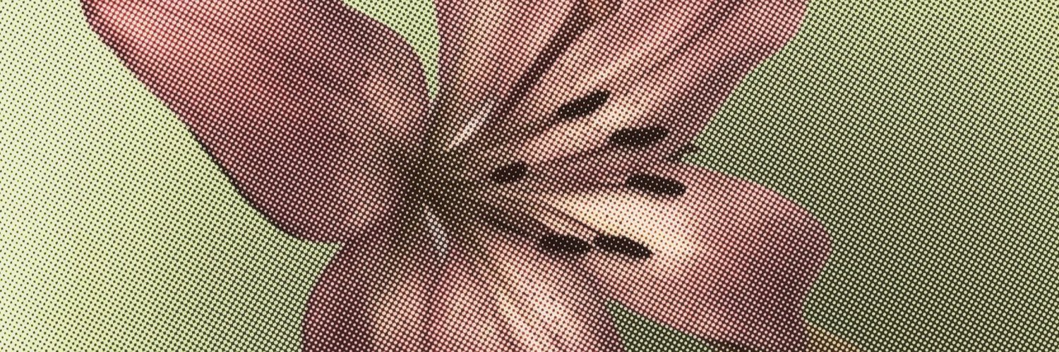 Minjooncrabs's profile banner image
