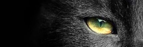 อล | banner