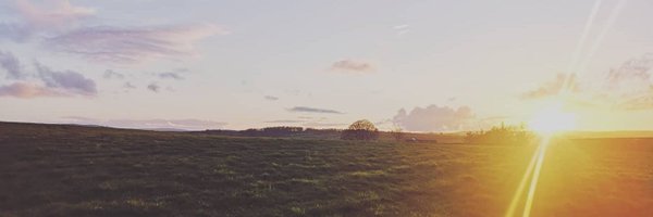 TeachWithAlice Profile Banner