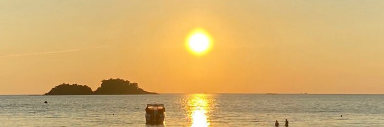 🍃 banner
