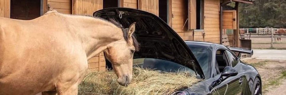 amado carillo fuentes banner