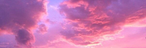 dumplingvmin's profile banner image