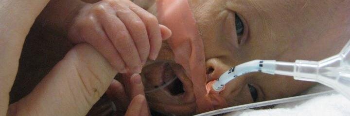 FanofPreemies's profile banner image