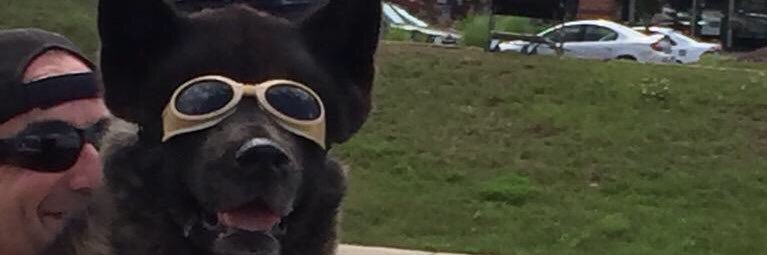 Jay_Younginn's profile banner image