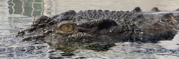 maatasou1207 Profile Banner