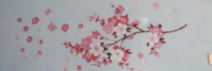 indira banner