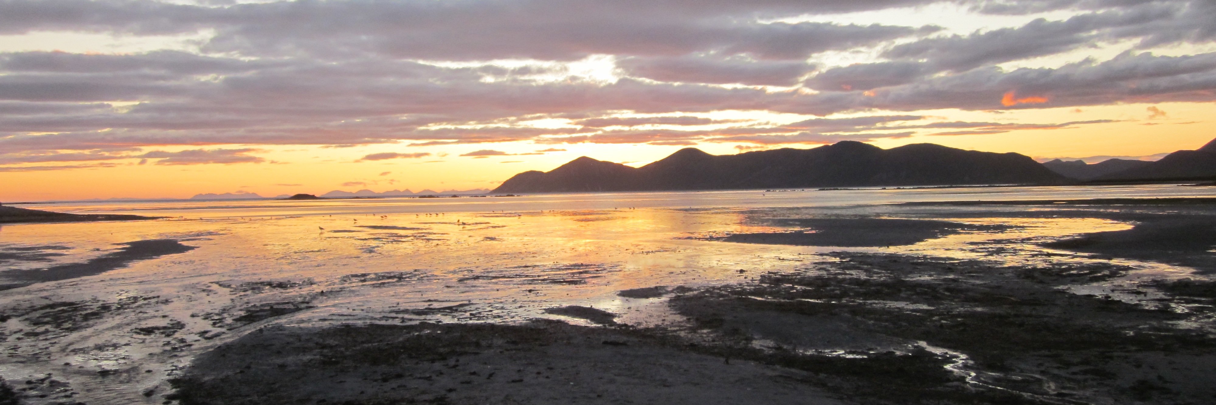 Simon Engelhart banner