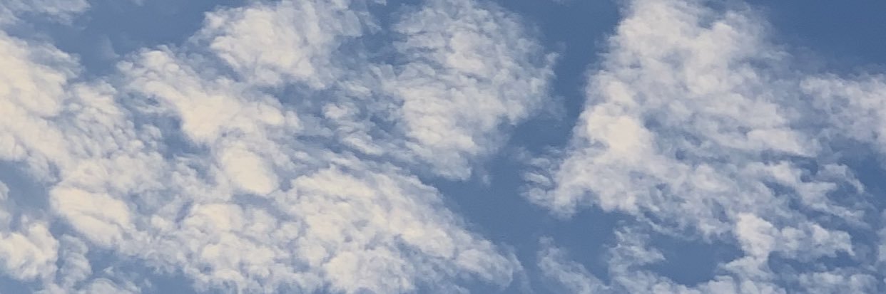 Elpato banner
