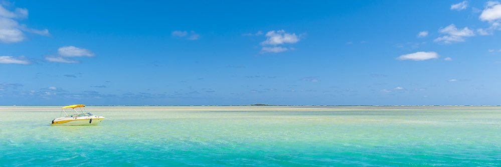 かりな🐳💕 banner