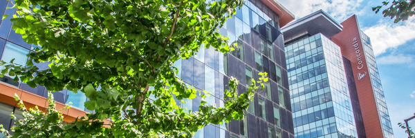 ConcordiaGrad Profile Banner