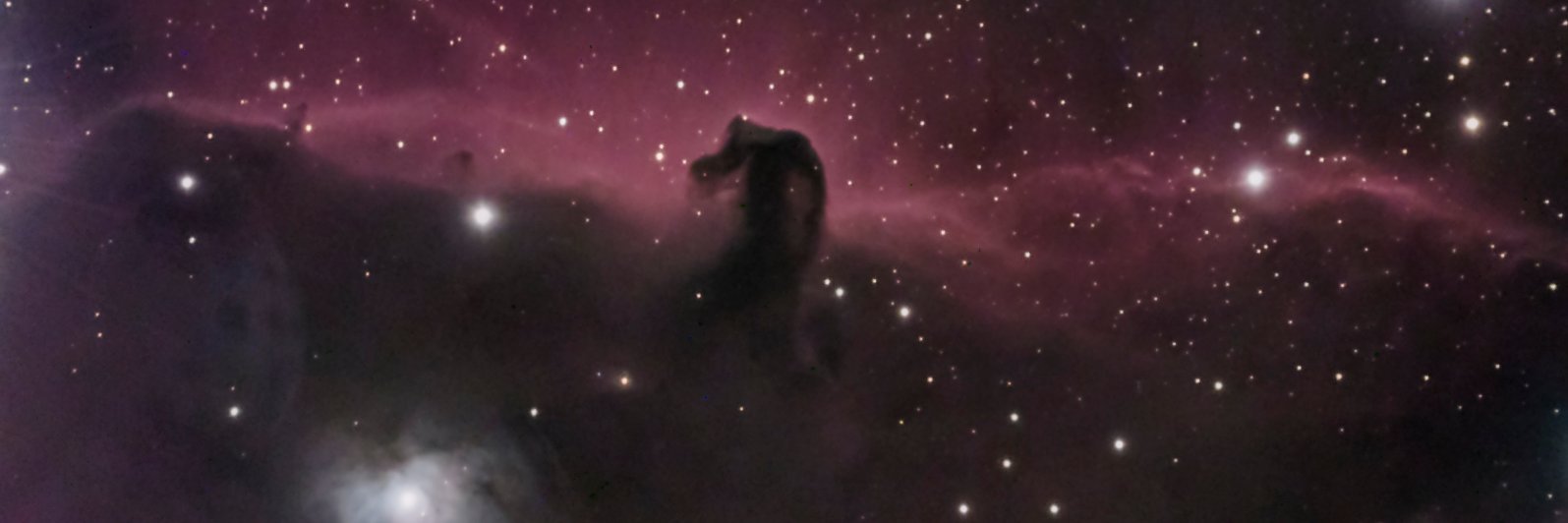 Bernd 📯 💉🚦 banner